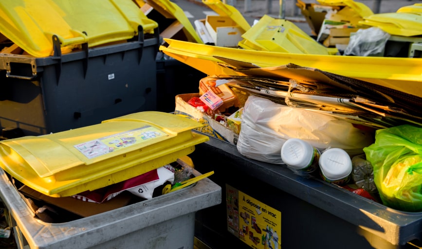 Trash Bin Pickup